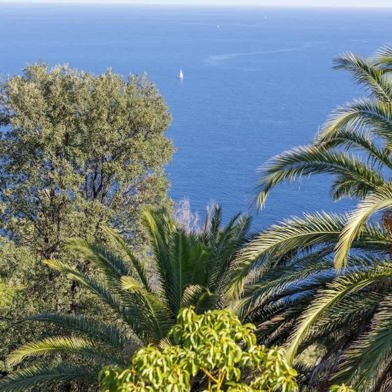 Villa Oneiro, vue imprenable à Théoule-sur-mer - Villa - 65
