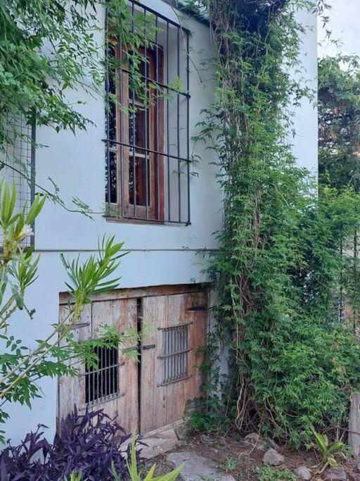 Casona Los Lilios en Victoria Entre Rios - Casa de 3 dormitorios - 25