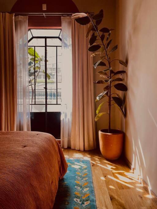 Art Oasis in the Heart of Roma - Casa de 5 dormitorios - 12