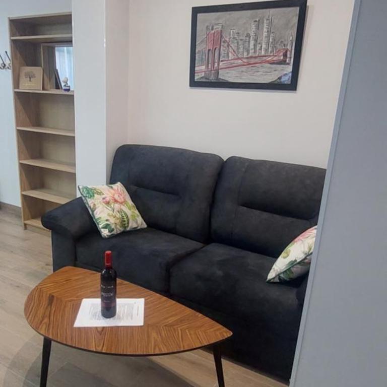 El Paseo a Madrid 169 - Junto a la Casa de Campo - Superior One-Bedroom Apartment - 22