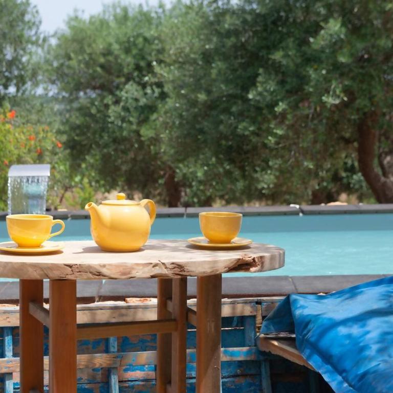 Lamia Papo with exclusive pool - Villa Standard - 11