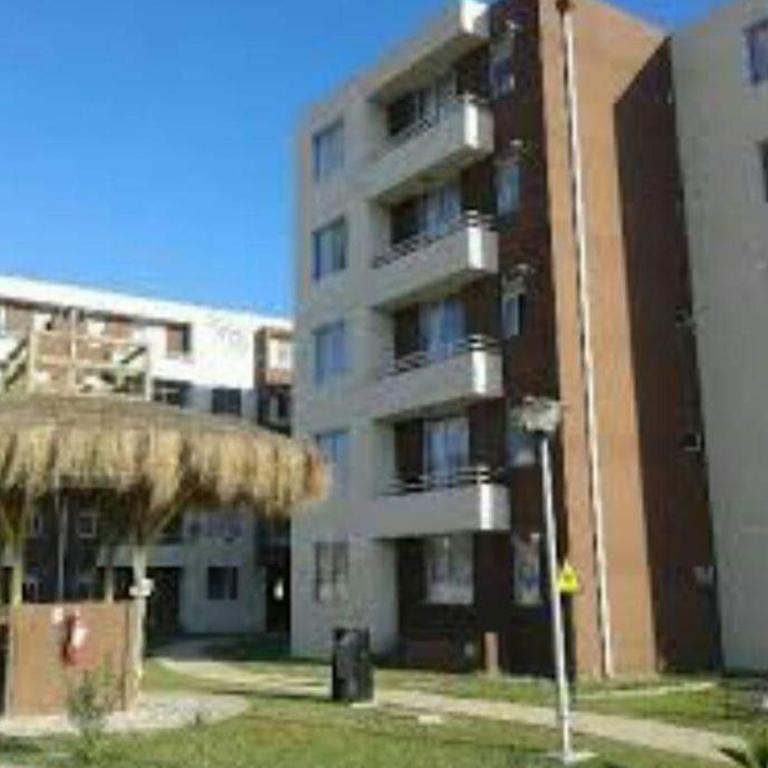 paseo San Carlos - One-Bedroom Apartment - 8