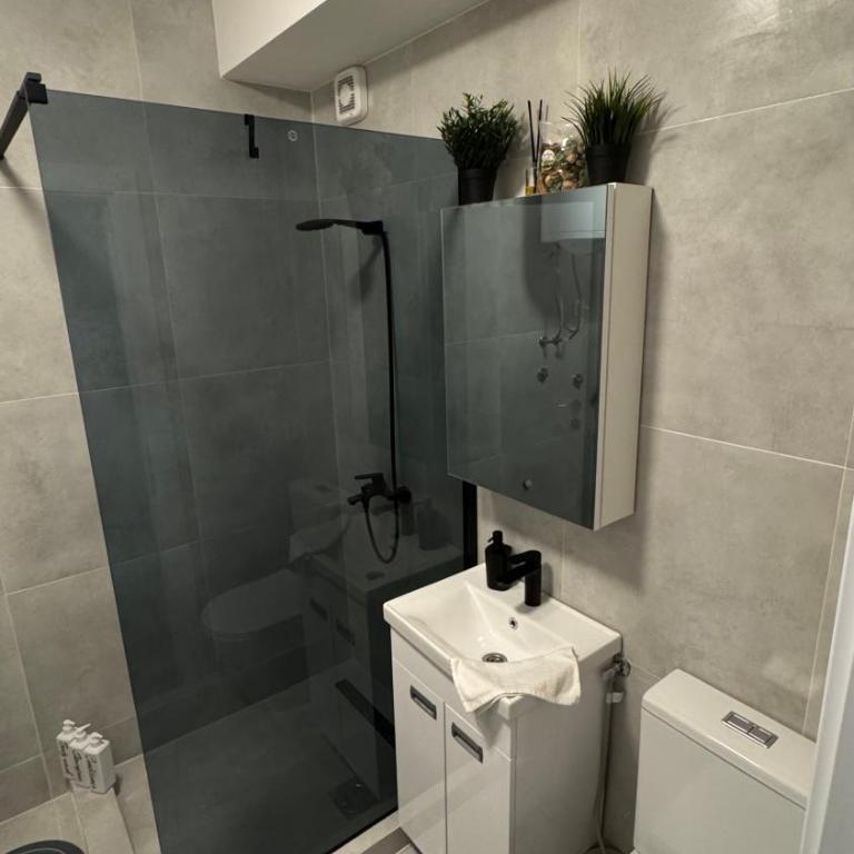 LUNI Apartmants Vracar - Luksuzna Trokrevetna Soba - 22