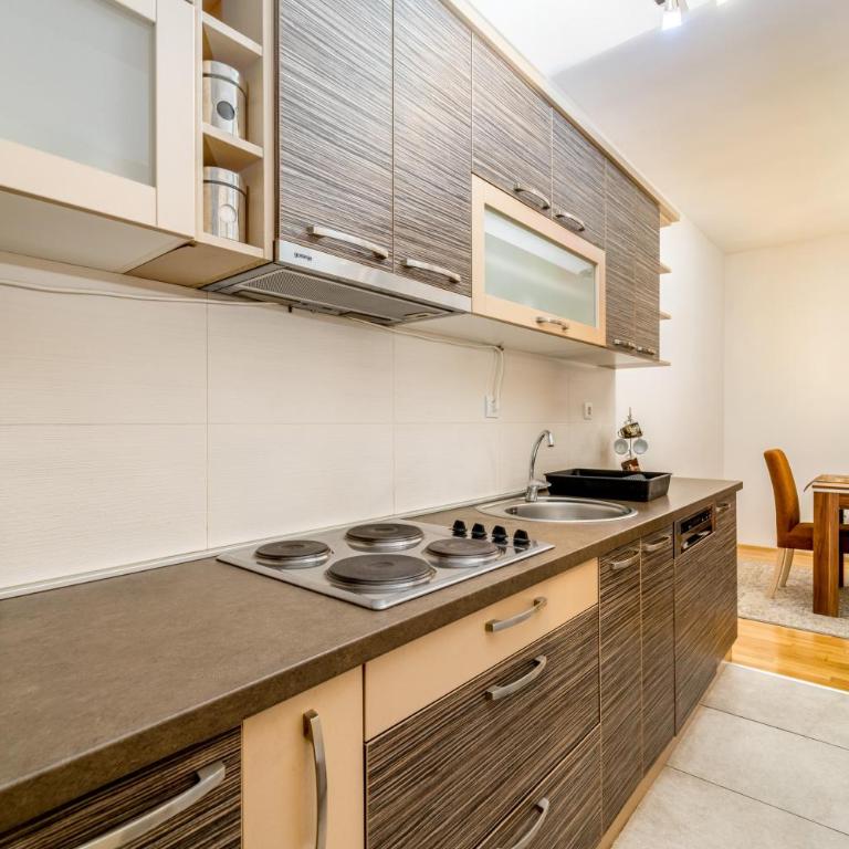 Apartment with balcony - Apartman sa 1 Spavaćom Sobom - 13