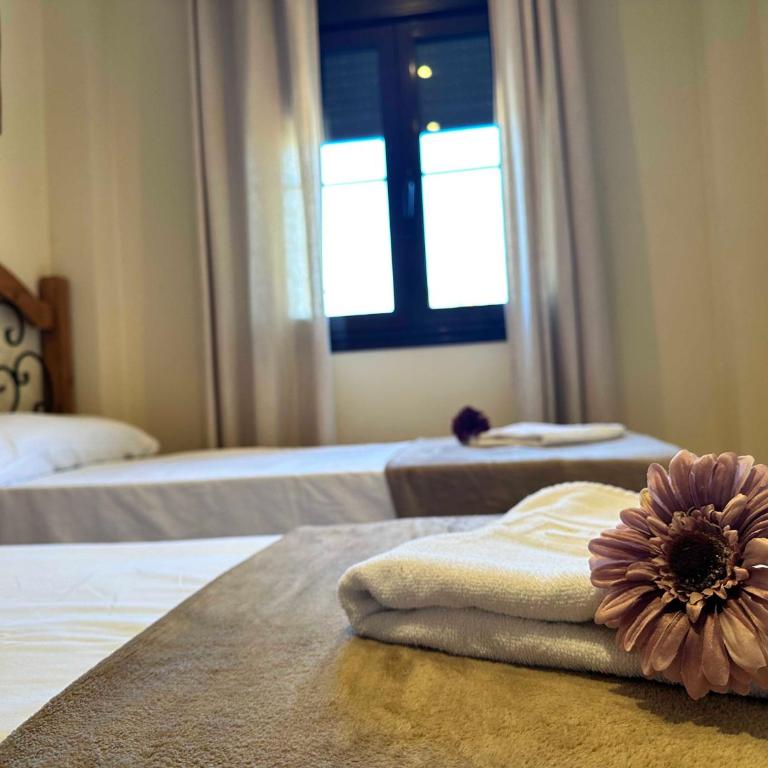 Coto de Sancti Petri - Apartamento de 2 dormitorios - 10