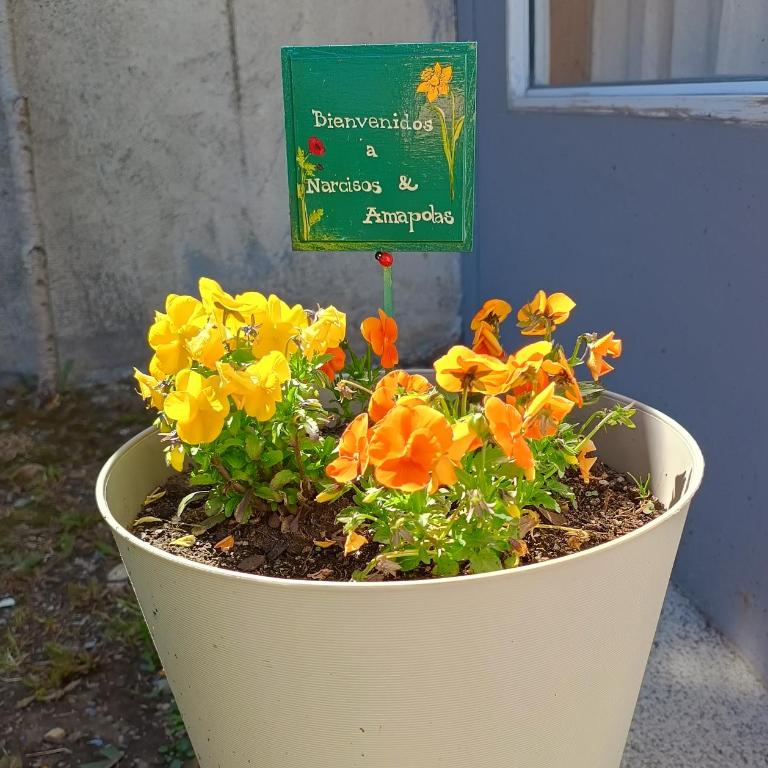 Narcisos y Amapolas en Ushuaia - Apartamento de 2 dormitorios - 46