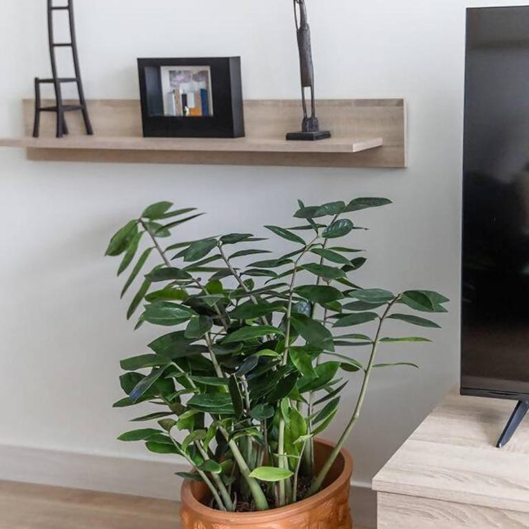 Espacioso apartamento a 9 min playa - Apartamento - 23