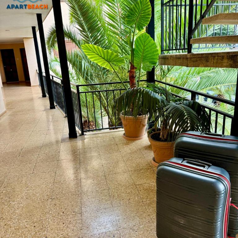 APARTBEACH SAN SEBASTIAN JUNTO PLAYA LARGA y CALA DORADA - Apartamento de 3 dormitorios - 34