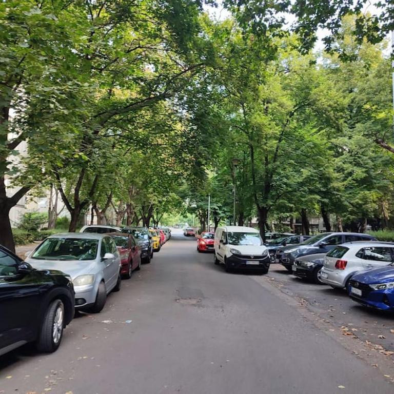 Tesla apartment - lovely 2 bedroom apartment - Apartman sa 2 Spavaće Sobe - 7