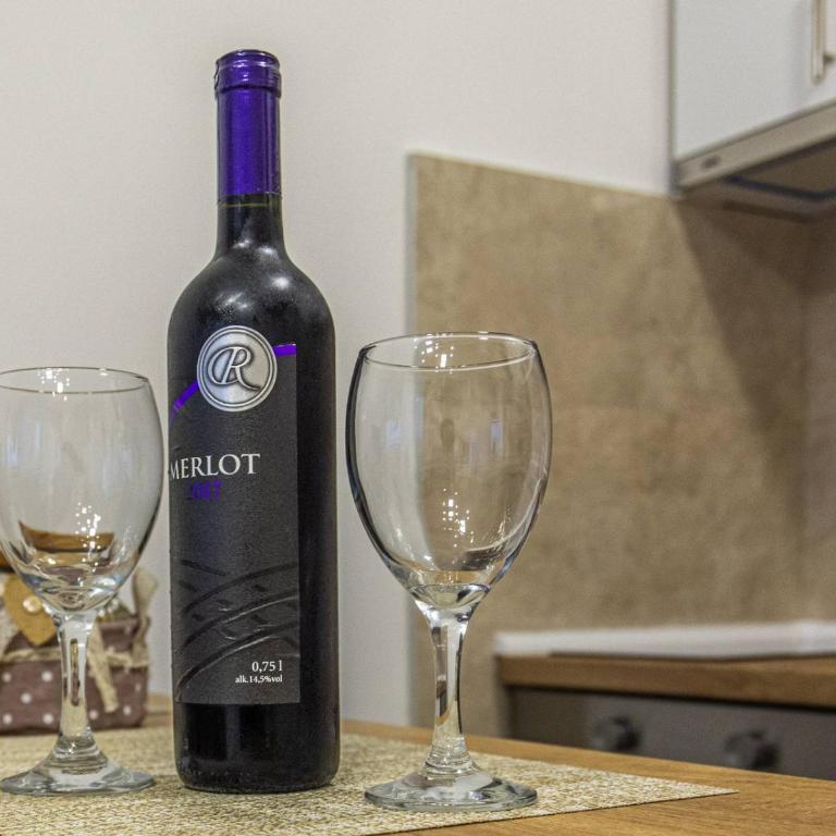 Ljilja Studio Apartman - Apartman sa 1 Spavaćom Sobom - 25