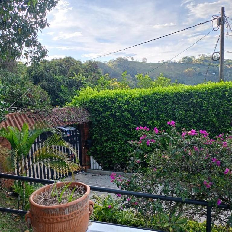 Cabaña Alejandría la Vega Cundinamarca - Casa de 2 dormitorios - 8