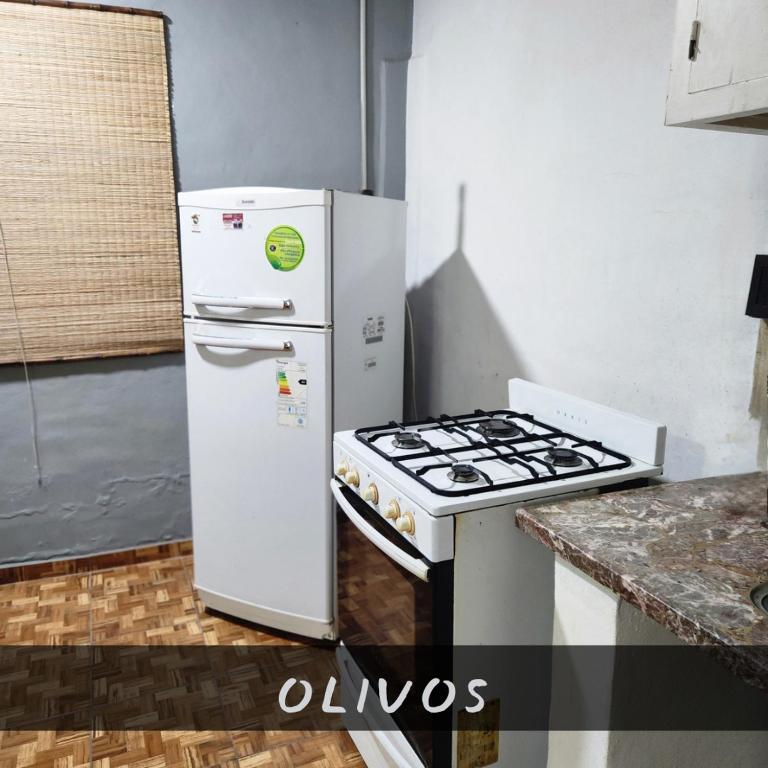 Monoambiente Los Olivos - Apartamento de 1 dormitorio - 4