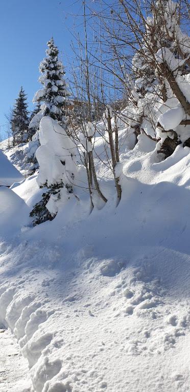 Chalet le Grenier des Crosets, Vue exceptionnelle sur les Dents du Midi - Chalet - 21