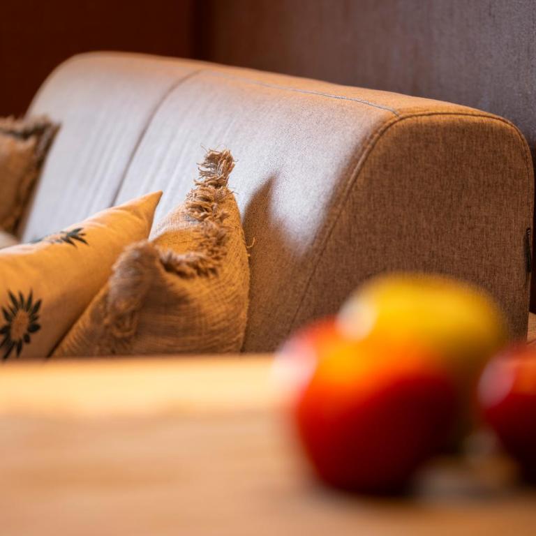 Abbraccio Alpino - Appartement 1 Chambre - 23