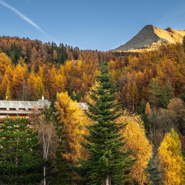Abbraccio Alpino - Appartement 1 Chambre - 1