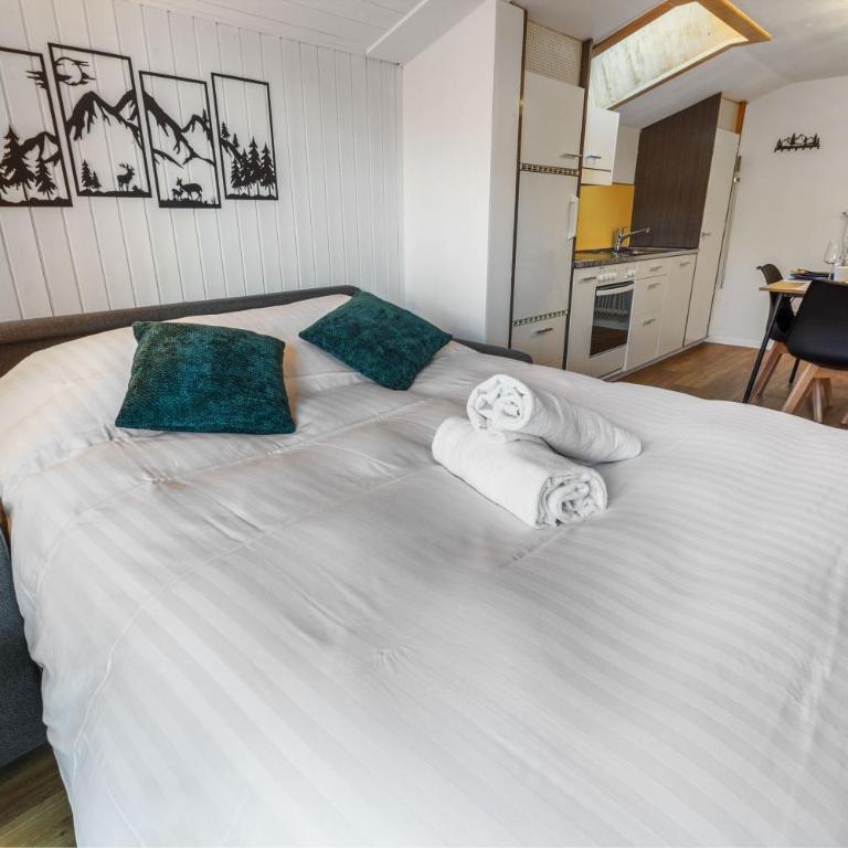 Magnifique appartement central à Loèche-les-Bains - Apartment mit 1 Schlafzimmer - 19