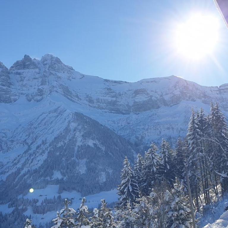 Chalet le Grenier des Crosets, Vue exceptionnelle sur les Dents du Midi - Chalet - 2