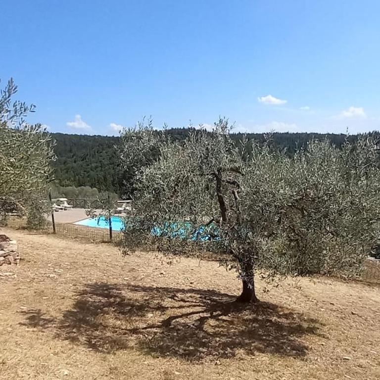 Rondine appartamento confortevole con piscina tennis wifi e giardino - Appartamento con 1 Camera da Letto - 24