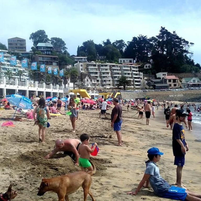 Departamento frente al mar, en playa amarilla, con piscina - Apartamento de 1 dormitorio - 11