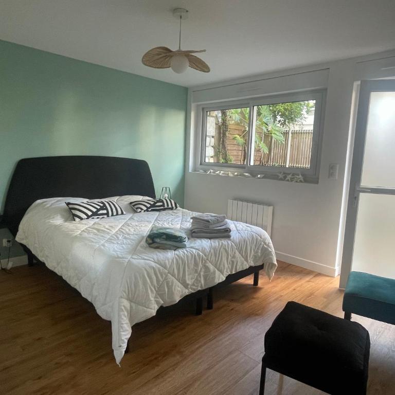 L Auguste Appartement hyper cosy les pieds dans l'eau - Appartement 2 Chambres - 14