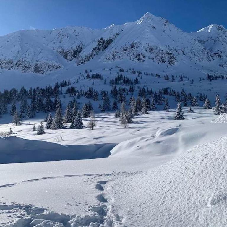 White Home Tonale - Appartamento con 1 Camera da Letto - 40