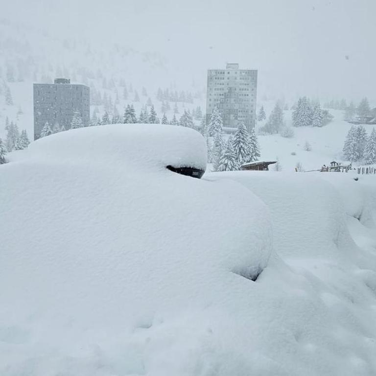 White Home Tonale - Appartamento con 1 Camera da Letto - 42