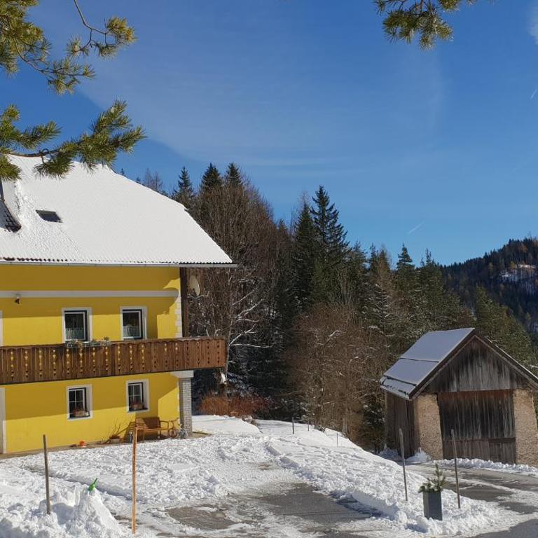 Bauernchalet Orainza - Apartment mit 1 Schlafzimmer - 42