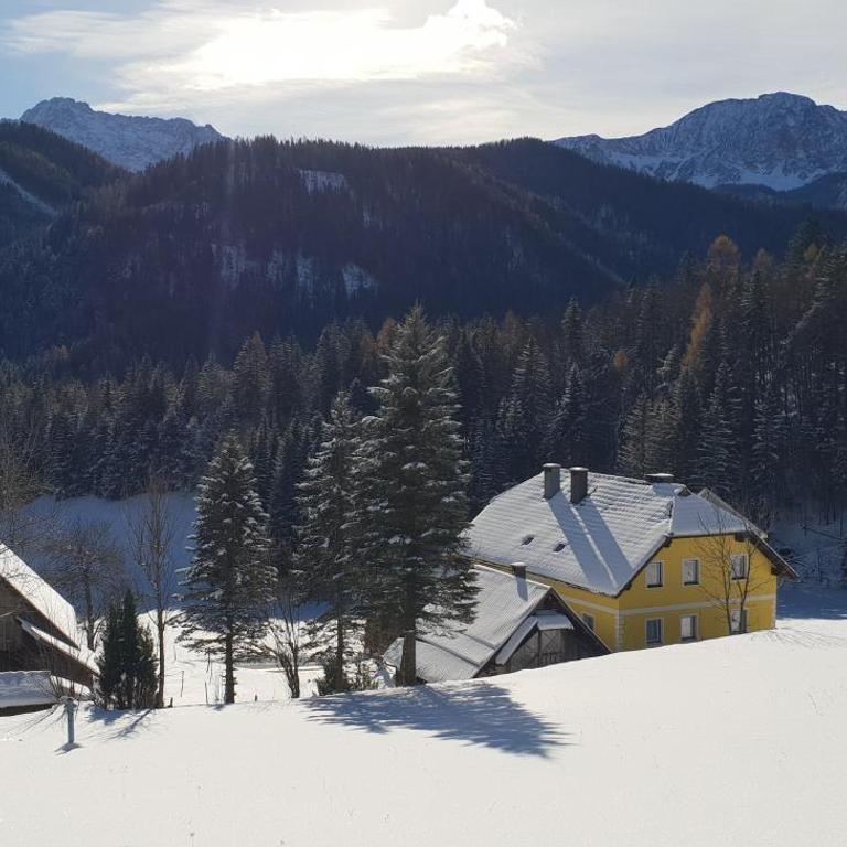 Bauernchalet Orainza - Apartment mit 1 Schlafzimmer - 40