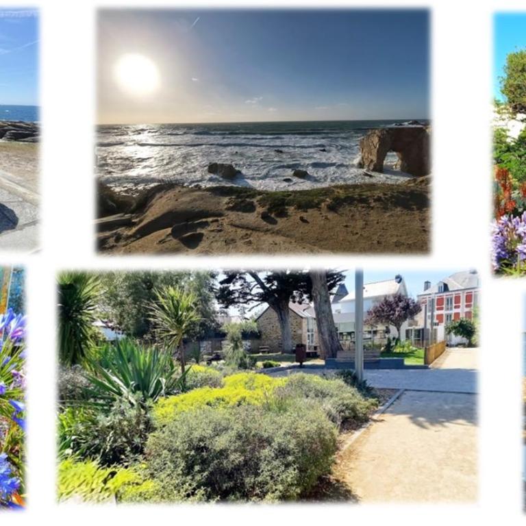 Le 22 à Quiberon - 3 pièces cœur ville - Apartamento de 2 dormitorios - 21