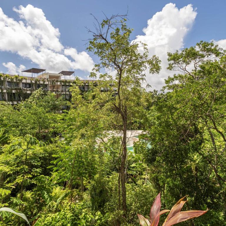 Cozy Studio in the Jungle, balcony and Pool view - Estudio con vistas al jardín - 9