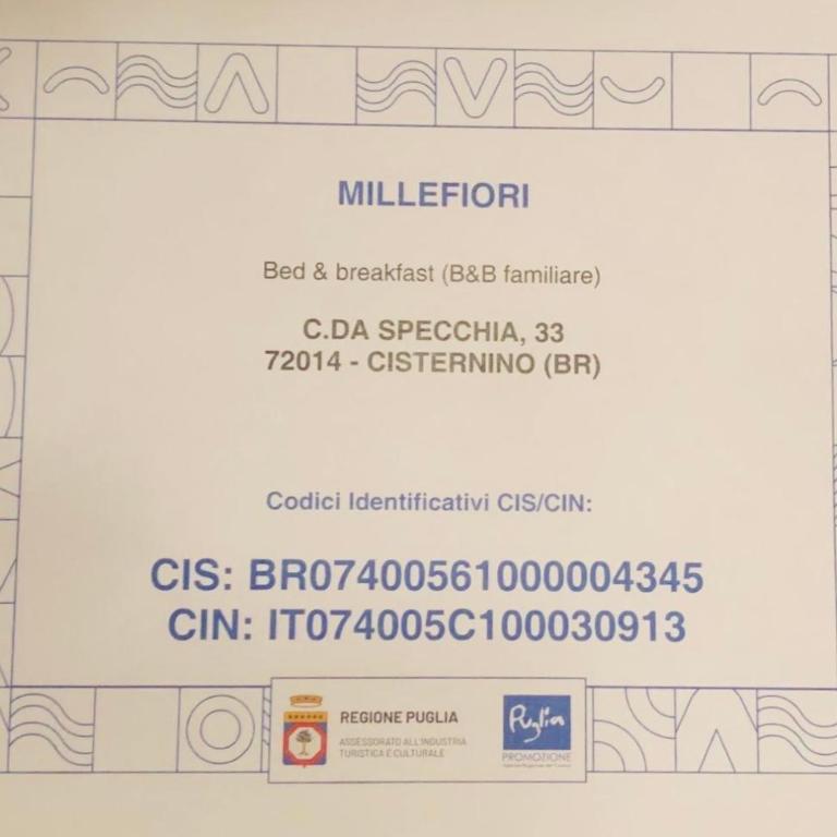 AlCOVA REALE Apartment and organic honey millefiori Cisternino cda specchia 33 - Appartamento con 1 Camera da Letto - 5