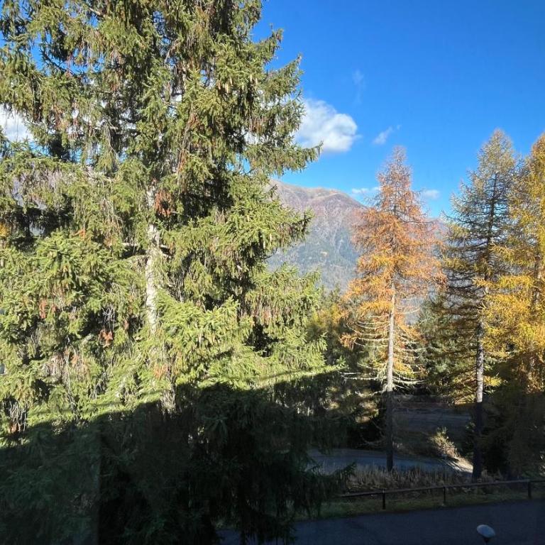 Residence Sole Alto Marillleva 1400 - vista bosco - Appartamento con 2 Camere da Letto - 31