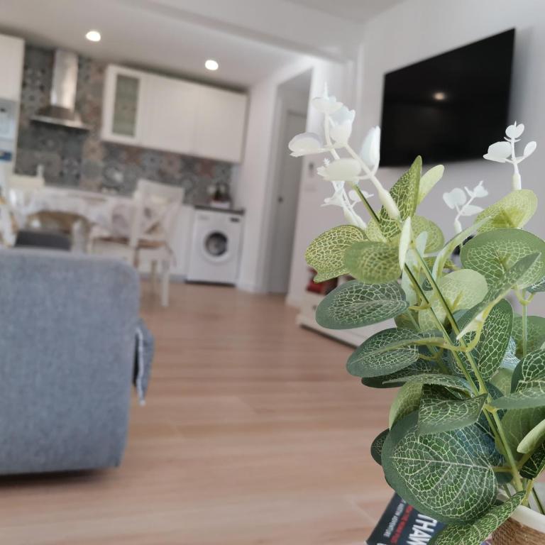 Adelmar - Apartamento - 8