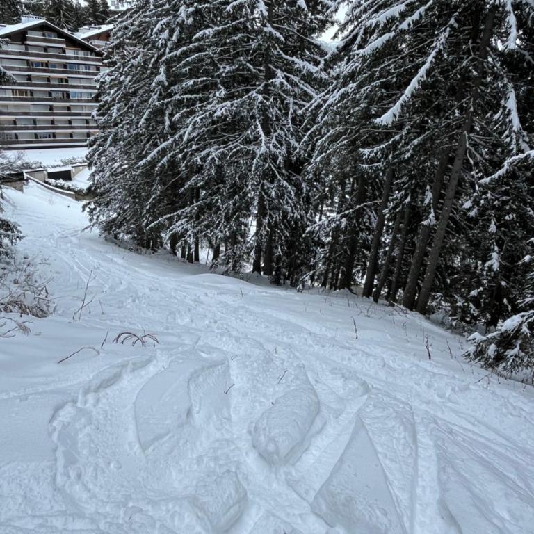 Bel Appartement Centre Crans Montana, Vue Alpine et Fraîcheur - Apartment mit 2 Schlafzimmern - 29