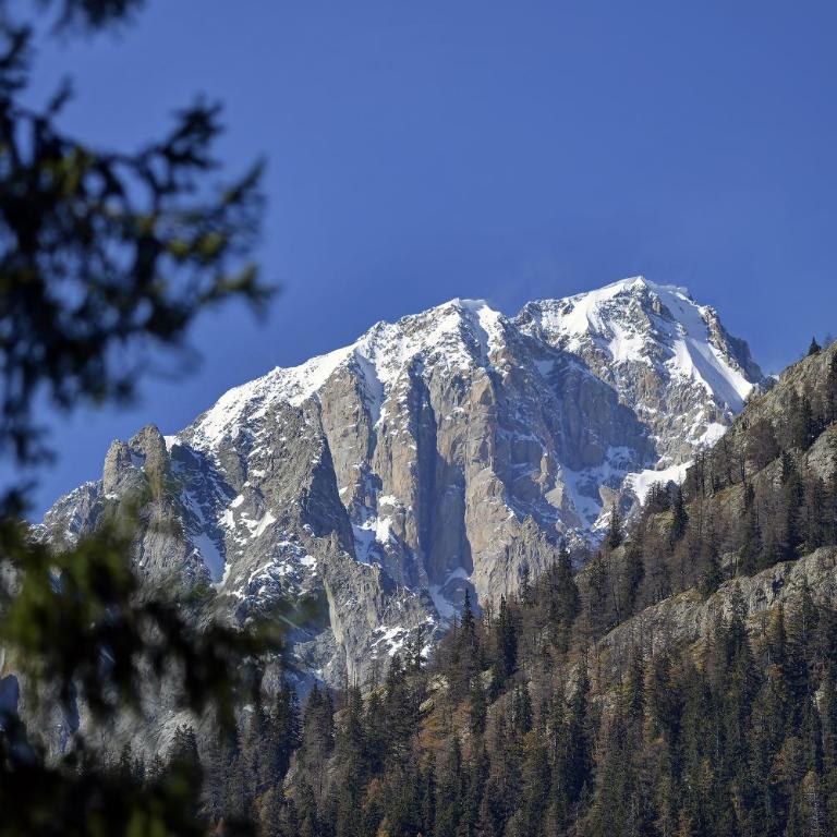 Dulci du Mont Blanc - One-Bedroom Apartment with Balcony and Mountain View - 37