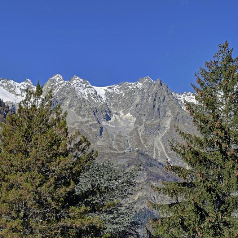Dulci du Mont Blanc - One-Bedroom Apartment with Balcony and Mountain View - 41