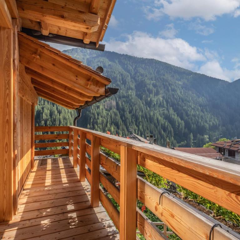Mas del Mezdì - mountain chalet Val di Rabbi - Chalet 2 Chambres - 13
