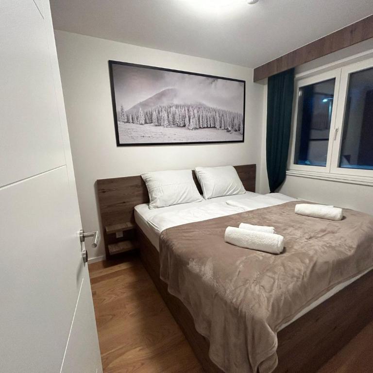 Sci di lusso - Deluxe One-Bedroom Apartment - 9
