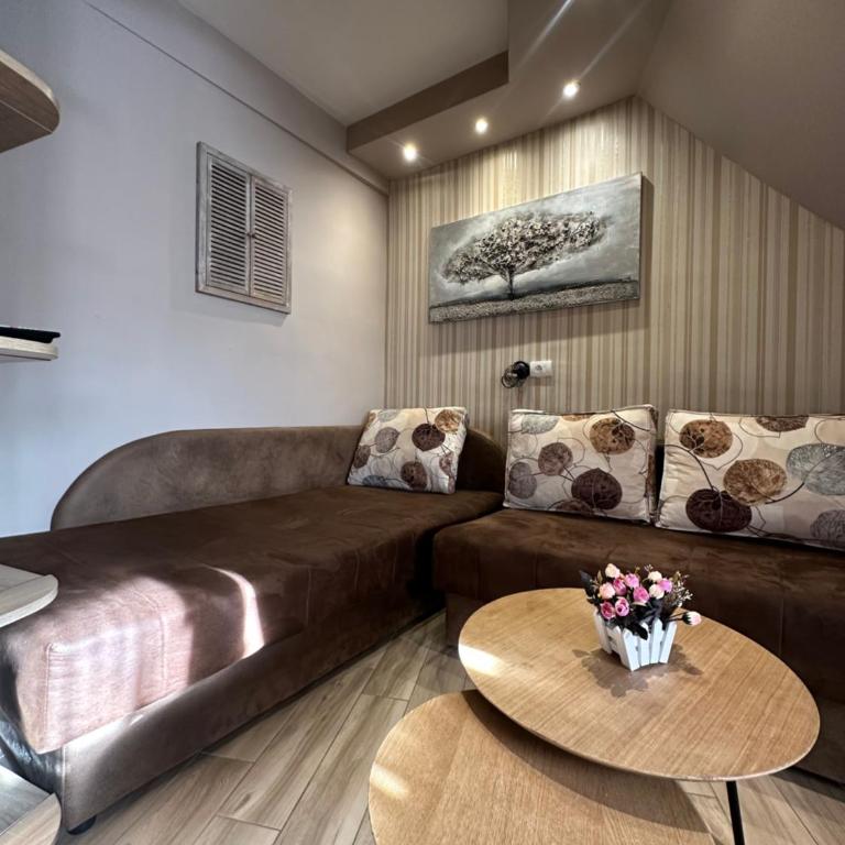 Apartments Konaci Kopaonik - Studio with Mountain View - 5