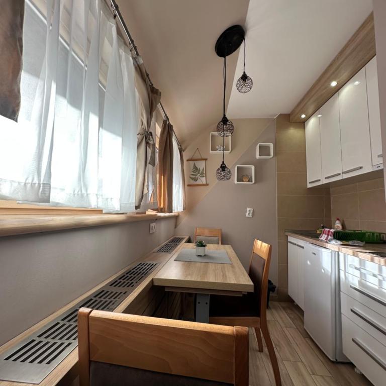 Apartments Konaci Kopaonik - Studio with Mountain View - 4