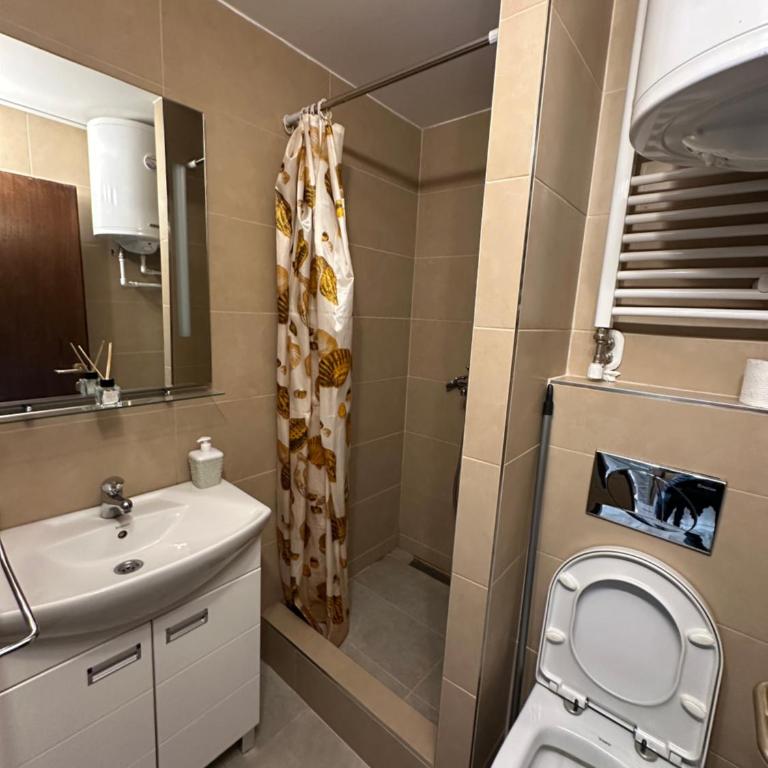Apartments Konaci Kopaonik - Studio with Mountain View - 3