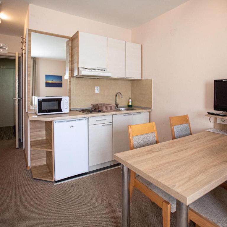 Apartments Konaci Kopaonik - Studio with Mountain View - 4