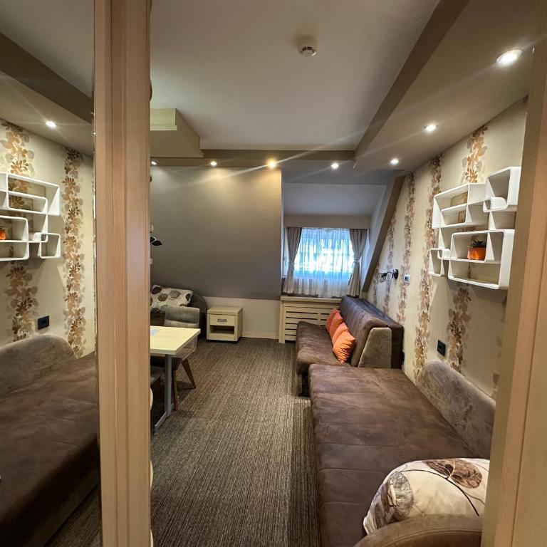 Apartments Konaci Kopaonik - Studio with Mountain View - 2