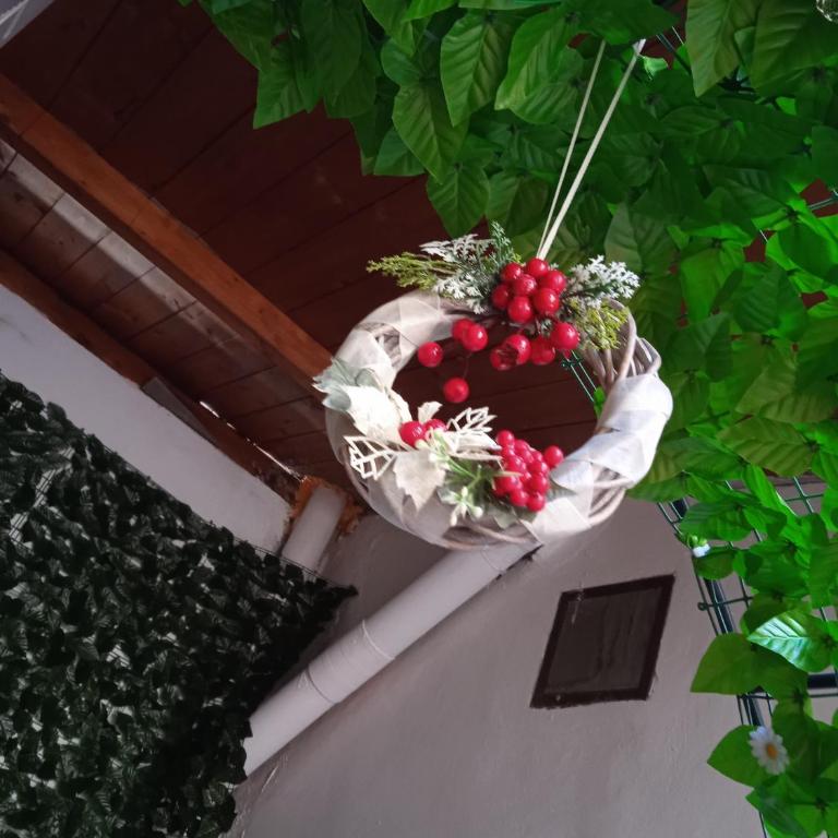 Oracolo Di Delfi - One-Bedroom Apartment - 6