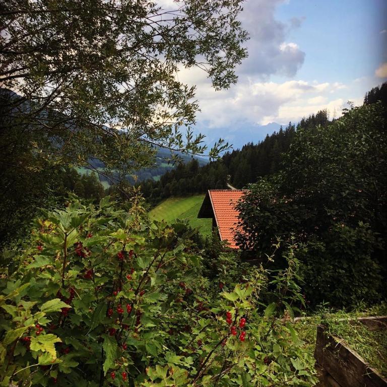 Zirkenhof - Apartment mit Blick auf die Berge - 2