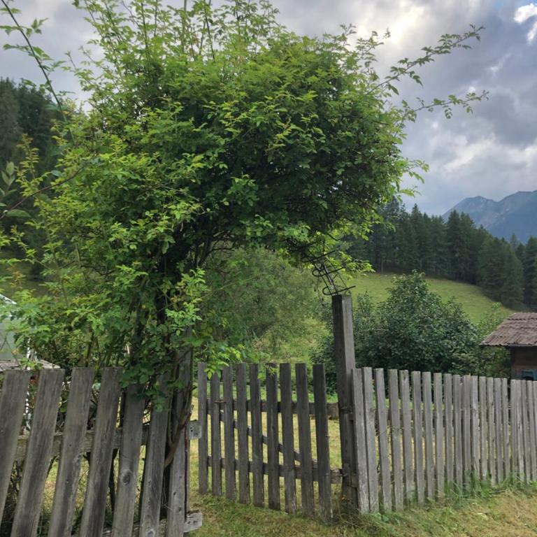 Zirkenhof - Apartment mit Blick auf die Berge - 3