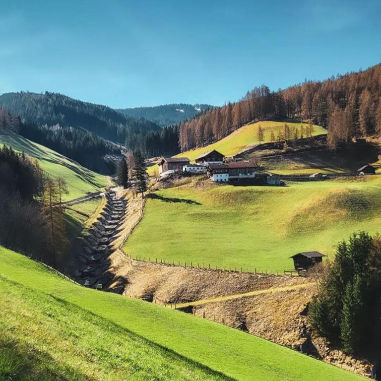 Zirkenhof - Apartment mit Blick auf die Berge - 1
