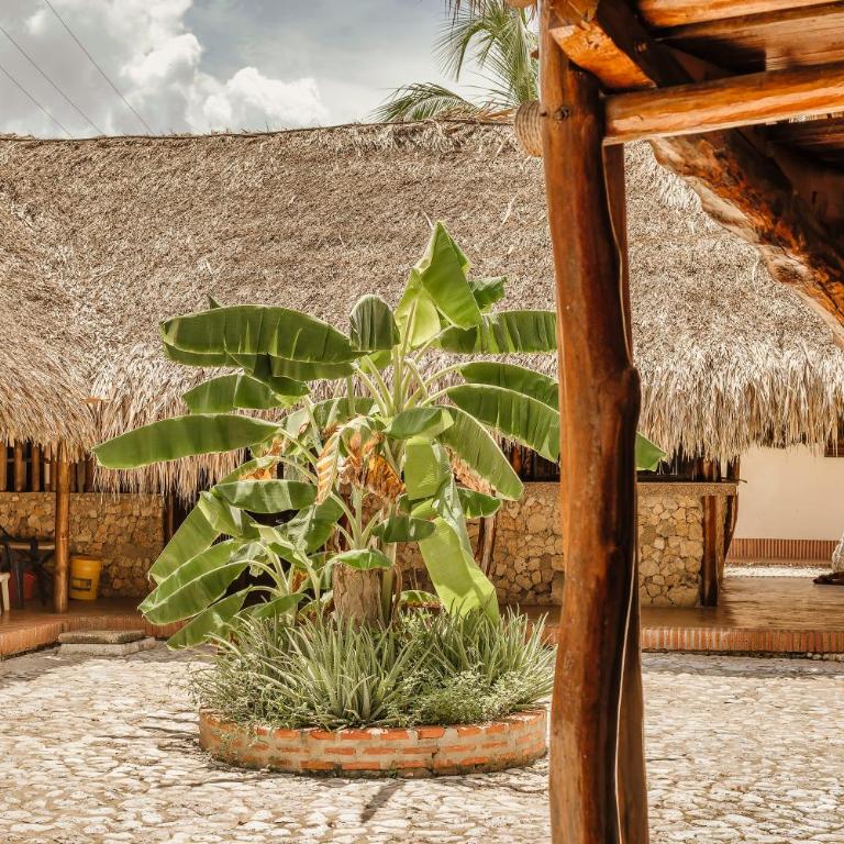 Castillete Hotel & Beach Club - Villa - 16