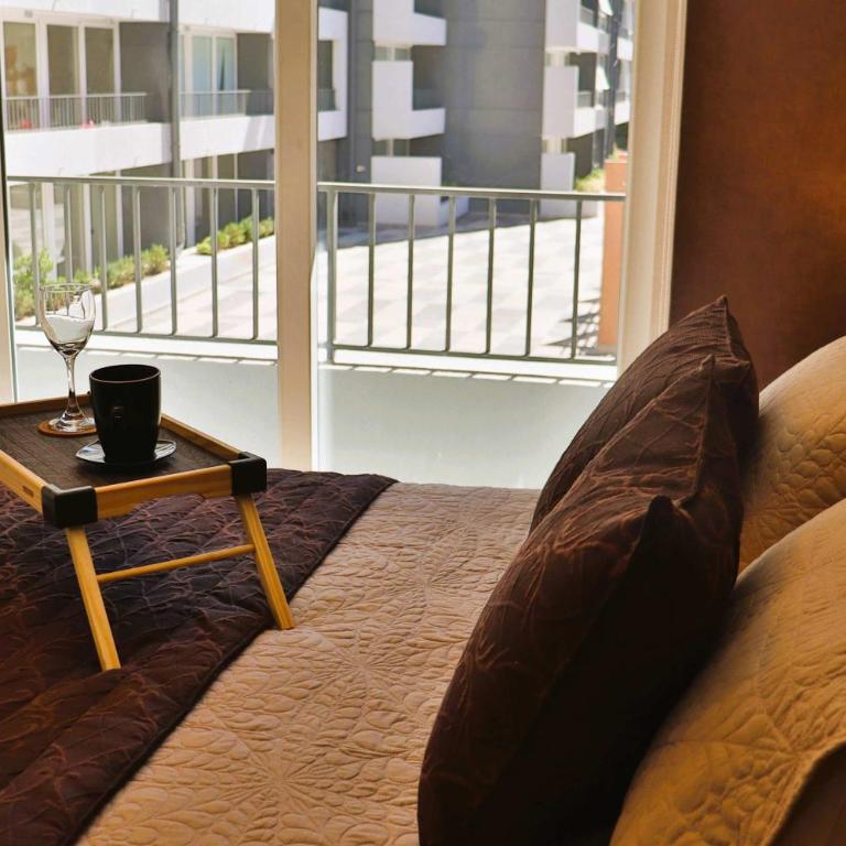 HOM I Confort Dpto 1D1B Santiago Centro - Apartamento - 1