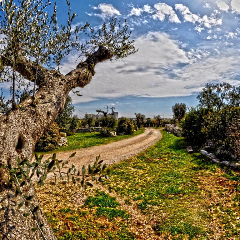 Masseria Rosa Trulli Relais - Trullo Superior (2 Adulti) - 15